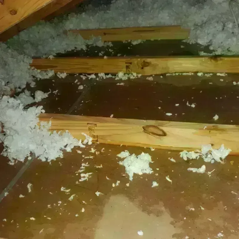 Attic Water Damage in Elizabethtown, NC