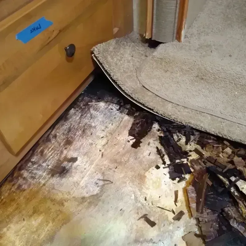 Wood Floor Water Damage in Elizabethtown, NC